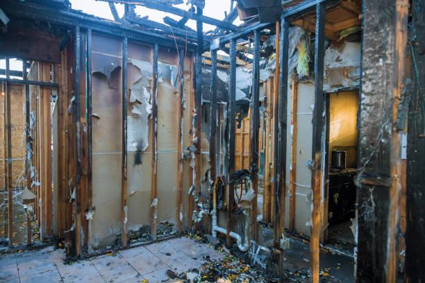 Professional Fire Damage Removal technician working in Horn Lake, MS